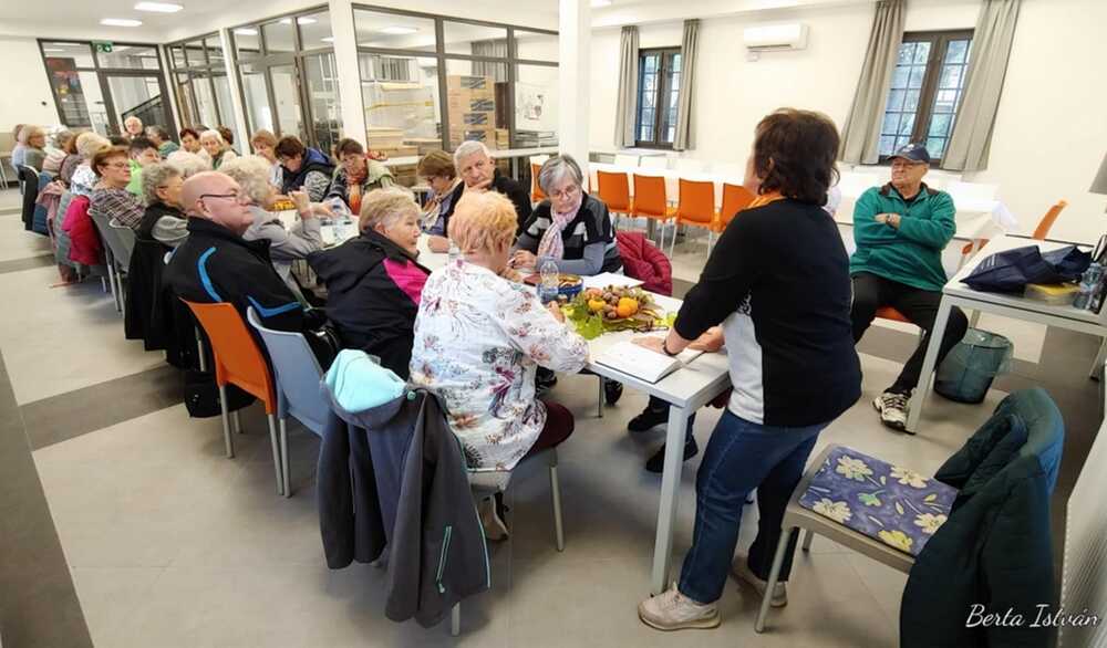 kludelutan mohacs csop