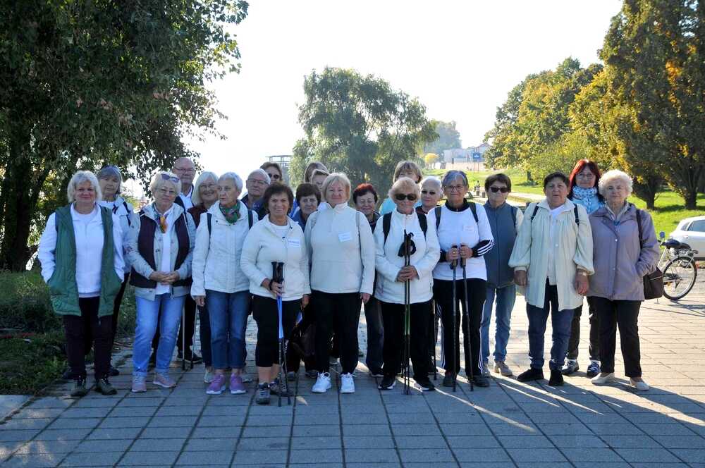 mohacsi csoport vilag gyaloglo nap