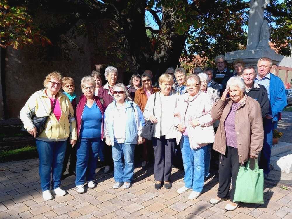 szaszvari csoport oktober 2024